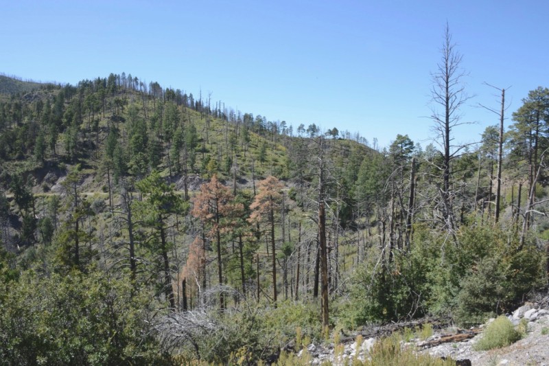 Continental Divide
